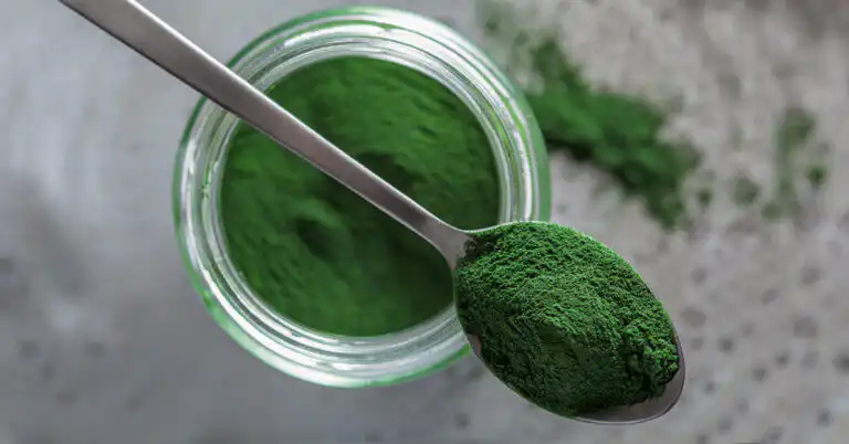 Spirulina, Vitamin B12, and Algae